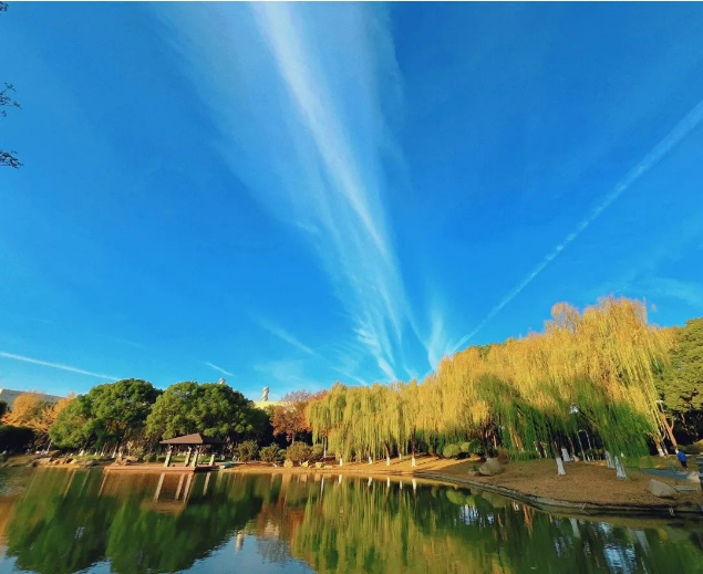 041701694180165377.png image.png